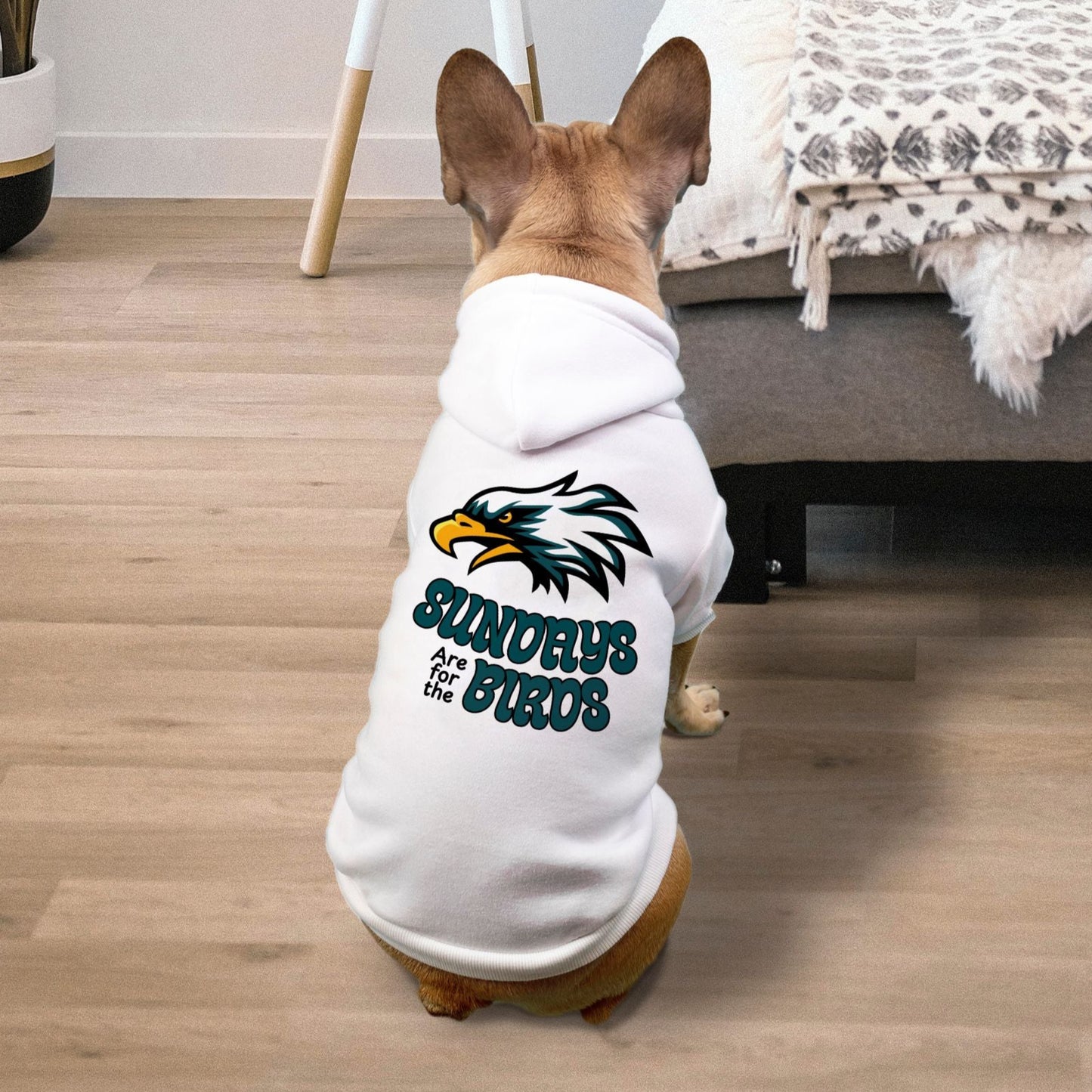 Eagles Football - Sundays are for the Birds - Dog Pet Fleece-Lined Sweatshirt Hoodie β Small Breed