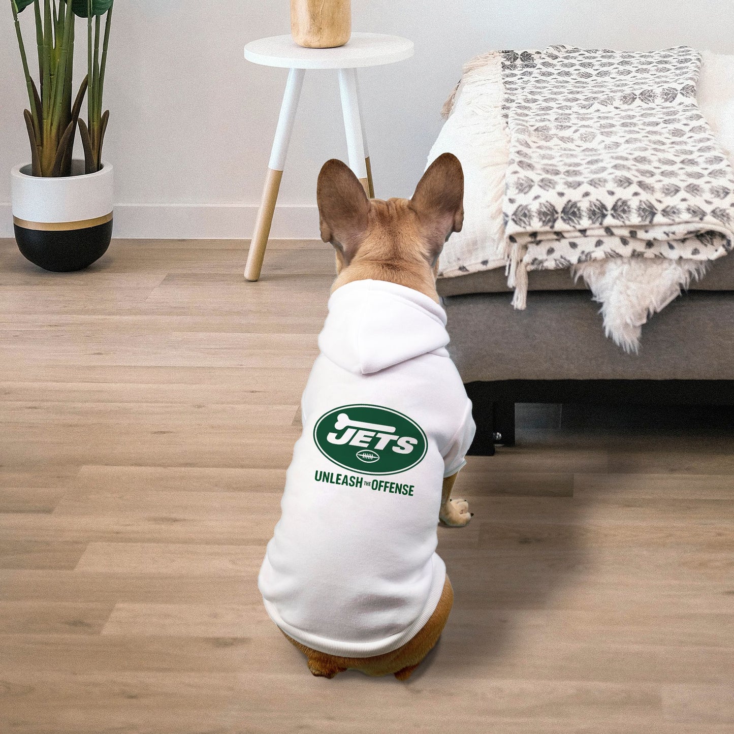 Jets Football Dog Cat Pet Fleece-Lined Sweatshirt Hoodie - Small Breed