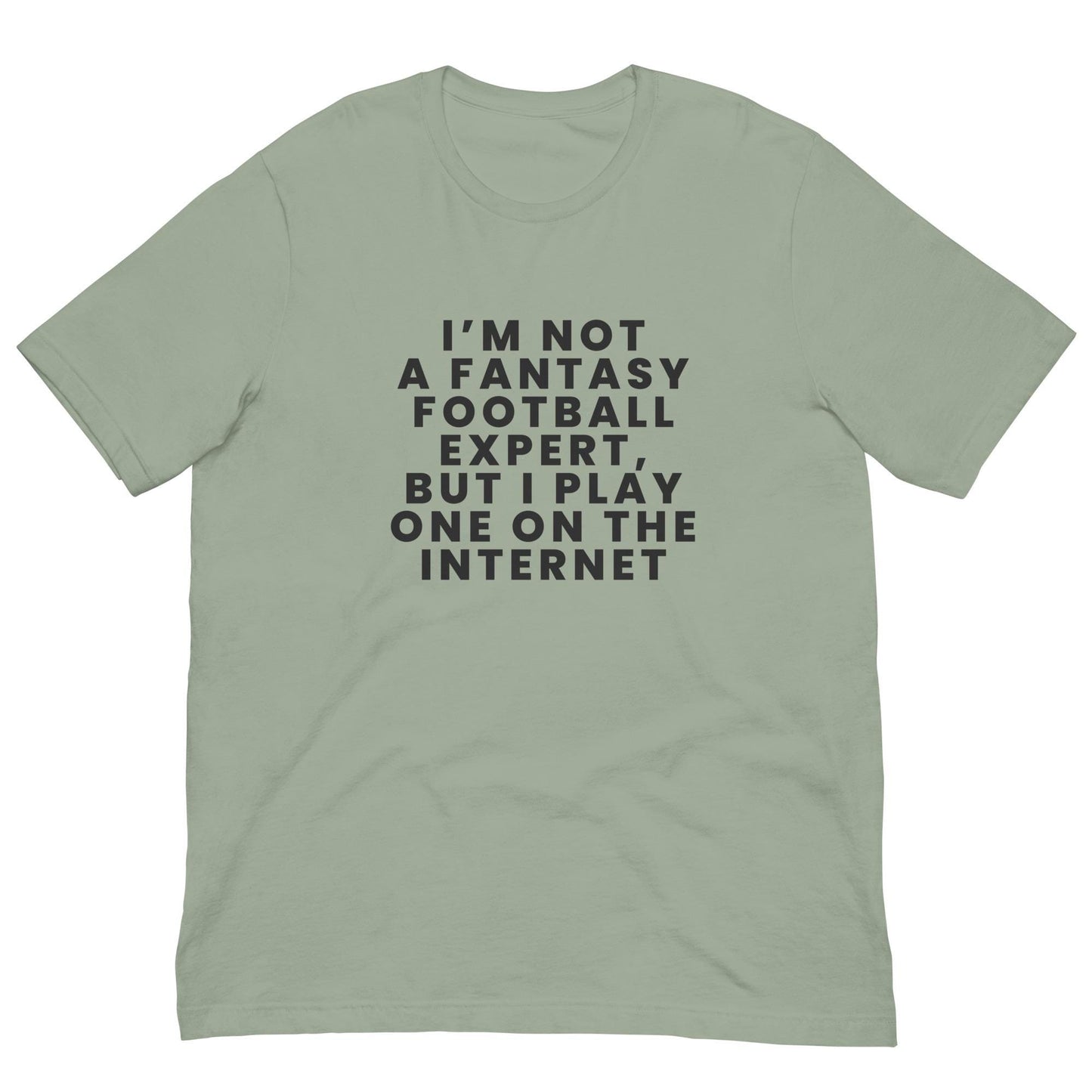I am Not a Fantasy Football Expert, But I Play One on the Internet - Funny Unisex T-shirt