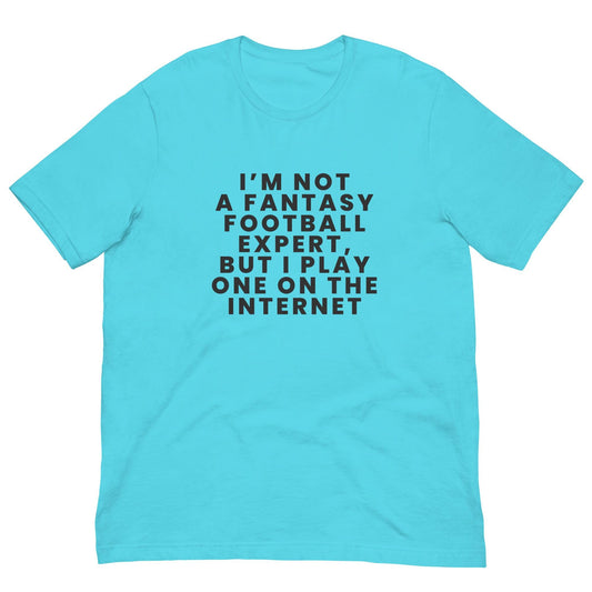 I am Not a Fantasy Football Expert, But I Play One on the Internet - Funny Unisex T-shirt