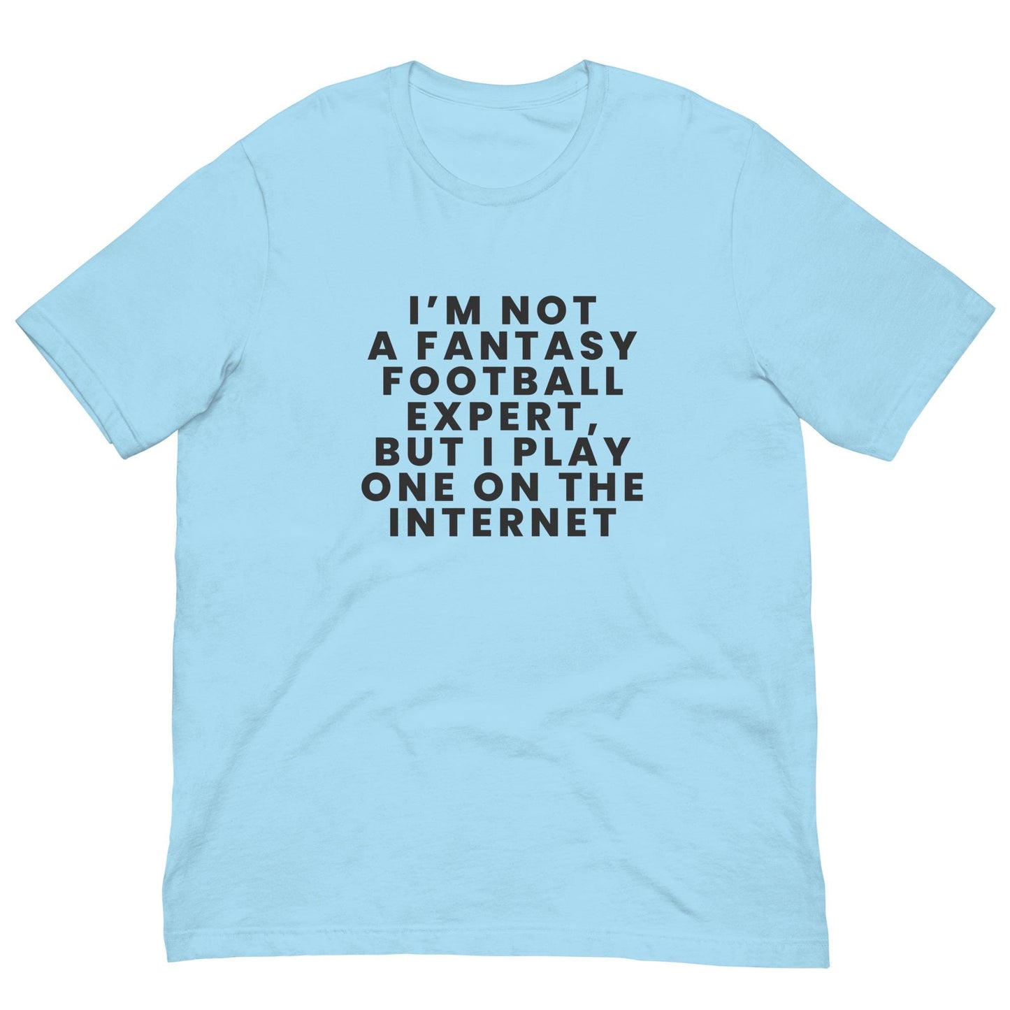 I am Not a Fantasy Football Expert, But I Play One on the Internet - Funny Unisex T-shirt