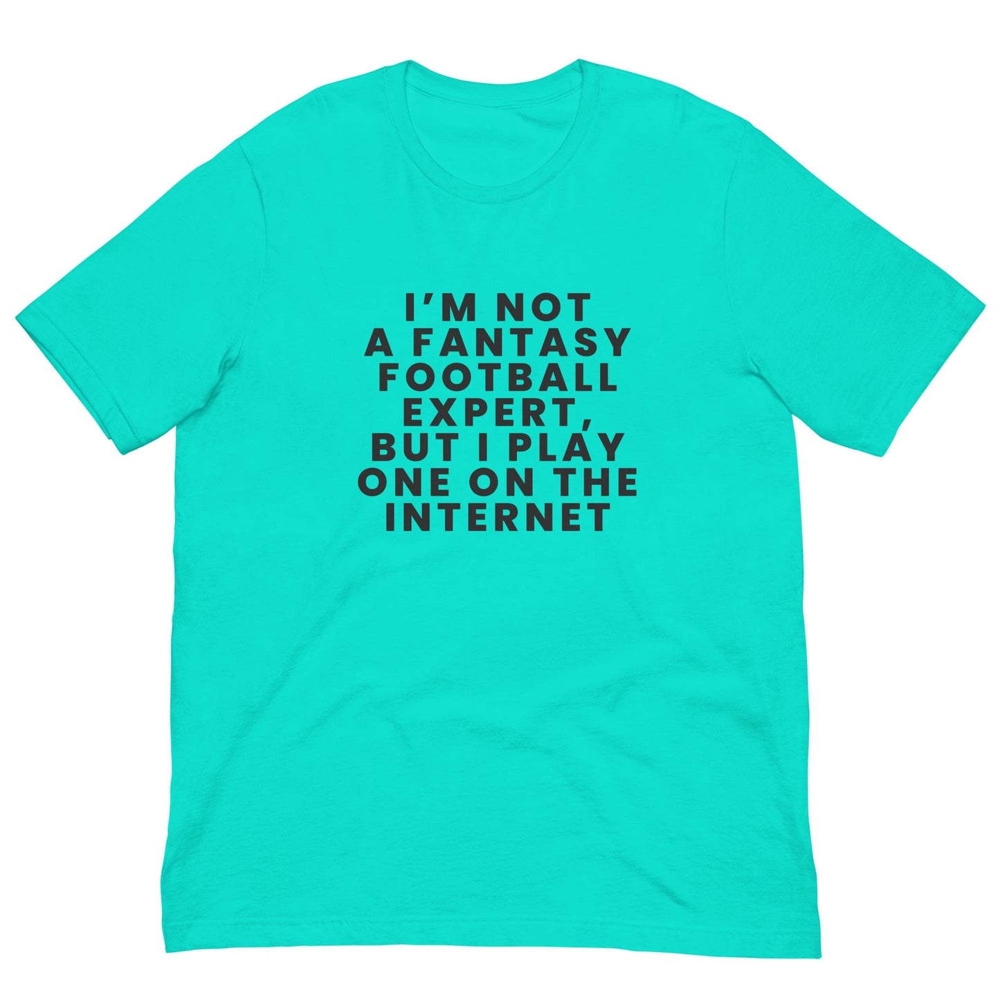 I am Not a Fantasy Football Expert, But I Play One on the Internet - Funny Unisex T-shirt