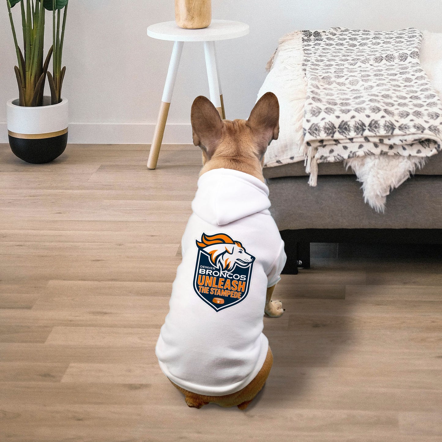 Broncos Football Dog Cat Pet Fleece-Lined Sweatshirt Hoodie - Small Breed