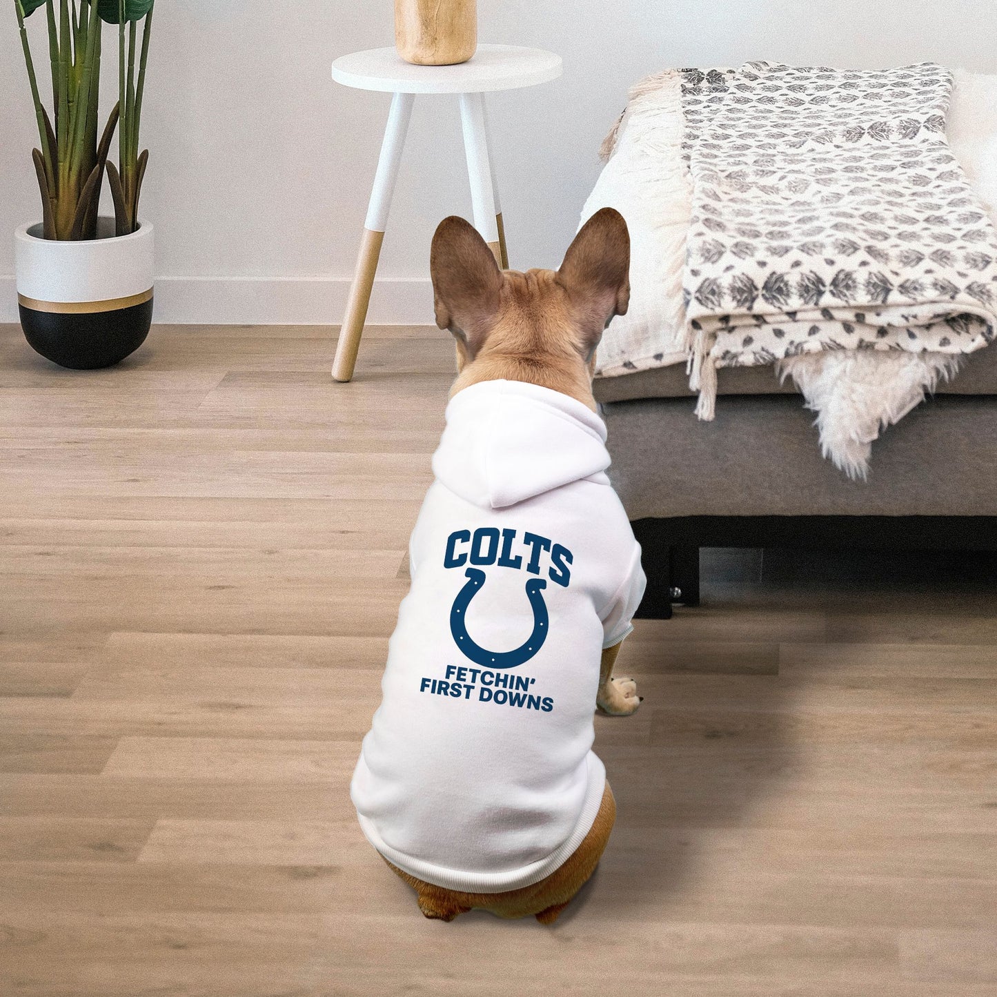 Colts Football Dog Cat Pet Fleece-Lined Sweatshirt Hoodie - Small Breed