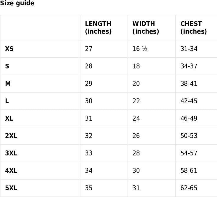 Unisex Fantasy Football Champion 2024 T-shirt Reg + Big Sizes