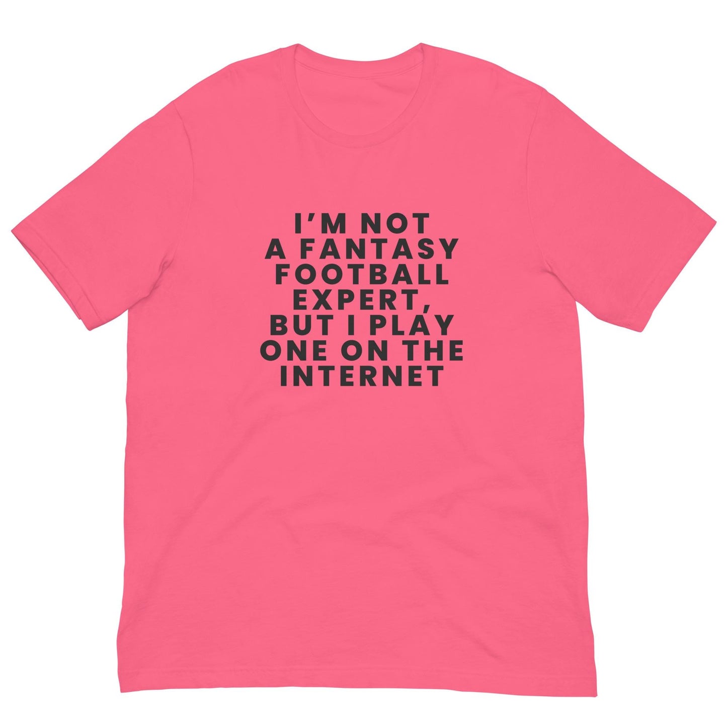 I am Not a Fantasy Football Expert, But I Play One on the Internet - Funny Unisex T-shirt