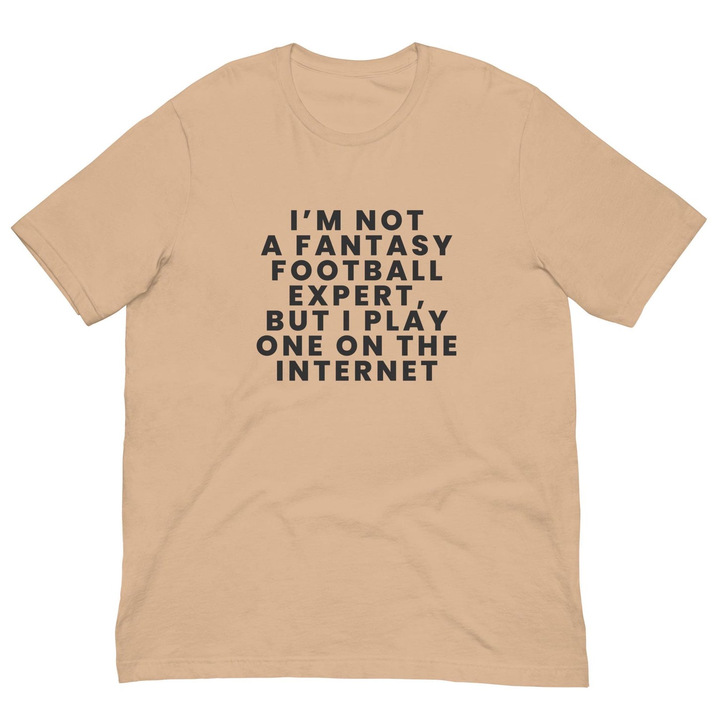 I am Not a Fantasy Football Expert, But I Play One on the Internet - Funny Unisex T-shirt